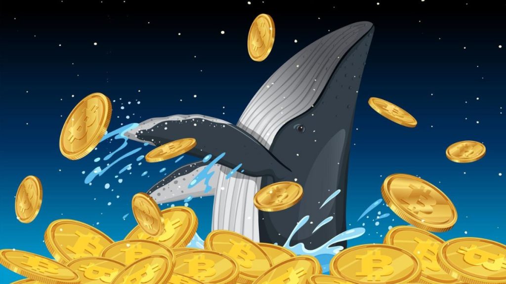 Bitcoin whale moves 10,603 BTC from three dormant wallets, following similar cases this summer